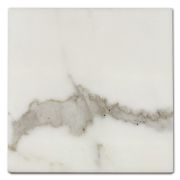 Calacatta Gold Marble 6x6 Tile Honed